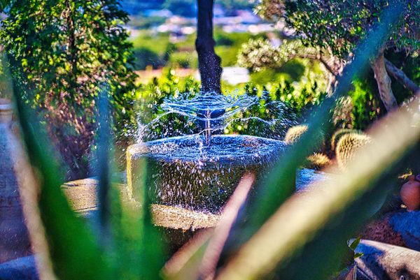 Daní Maison: un giardino “stellato” nel cuore di Ischia