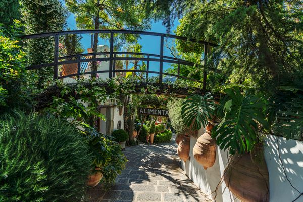Daní Maison: la storia di un ritorno che diventa visione